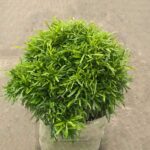 নিমঝুরি